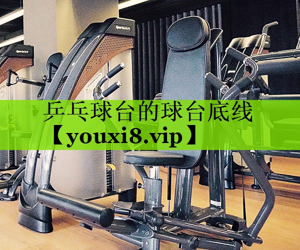 乒乓球台的球台底线