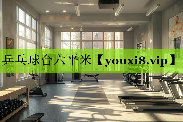 乒乓球台六平米