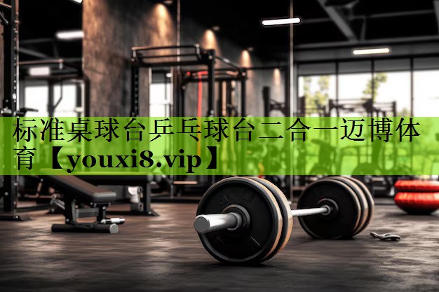 标准桌球台乒乓球台二合一迈博体育