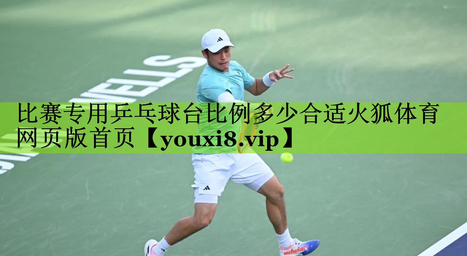 比赛专用乒乓球台比例多少合适火狐体育网页版首页