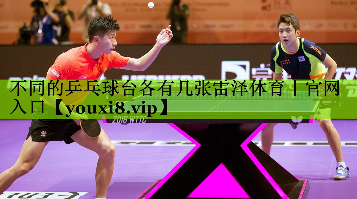 不同的乒乓球台各有几张雷泽体育｜官网入口
