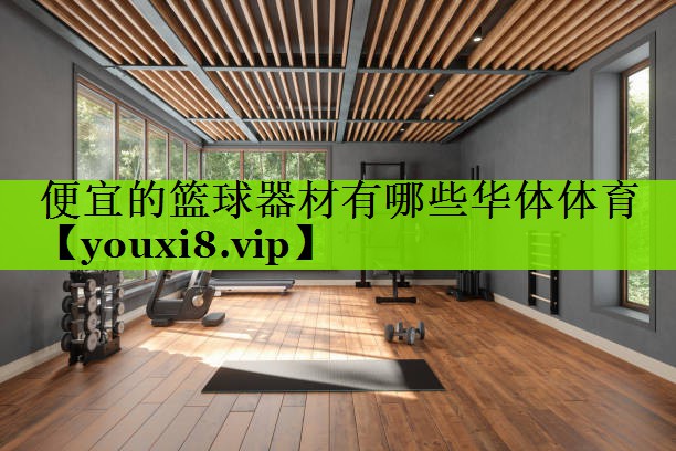 便宜的篮球器材有哪些华体体育
