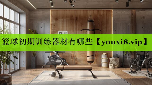 篮球初期训练器材有哪些