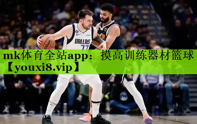 摸高训练器材篮球