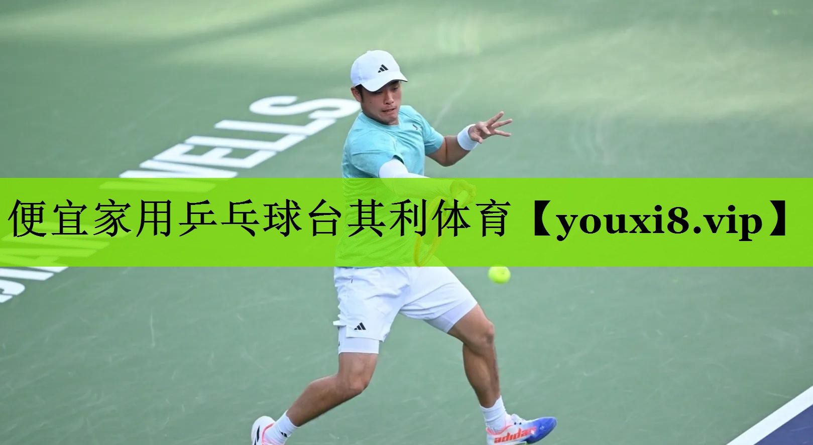 便宜家用乒乓球台其利体育